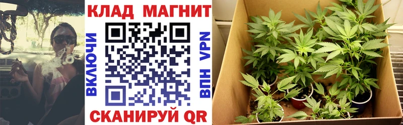 Где купить наркотики Будённовск КОКАИН Бошки Шишки